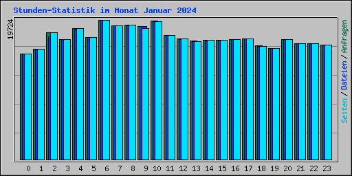 Stunden-Statistik im Monat Januar 2024