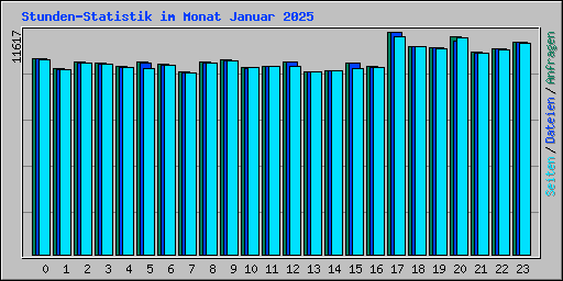 Stunden-Statistik im Monat Januar 2025