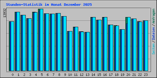 Stunden-Statistik im Monat Dezember 2025