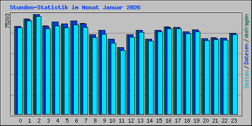 Stunden-Statistik im Monat Januar 2026