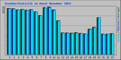 Stunden-Statistik im Monat November 2024